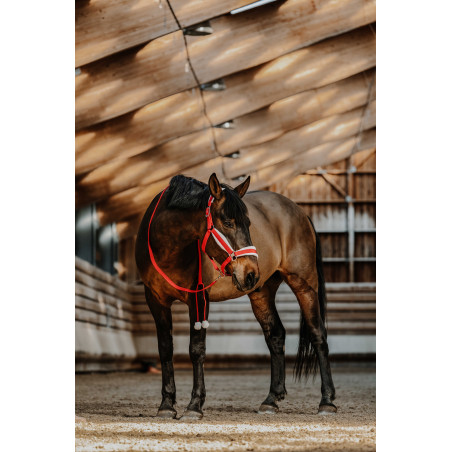 Licol + longe Equithème  Xmas