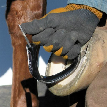 Bar & Sole Rasp Pro - Soles et barres - Sabots cheval