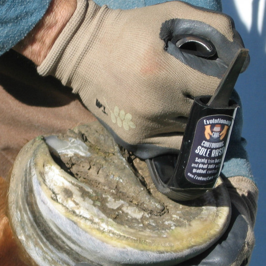 Bar & Sole Rasp Pro Soles et barres Sabots cheval