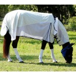 CHAUSSETTES SILVER WHINNY CHAUSSETTES SILVER WHINNY