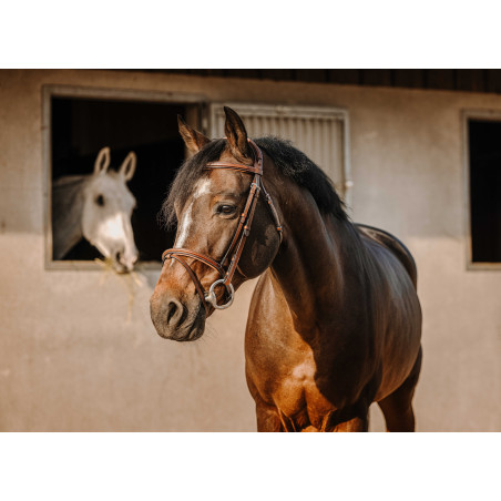 Bridon Eric Thomas Crown