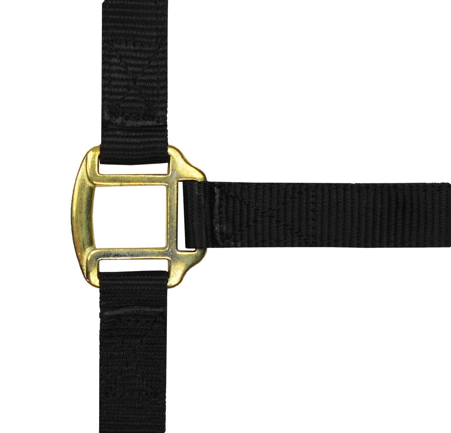 Licol nylon doublé cuir Norton Bleu / noir