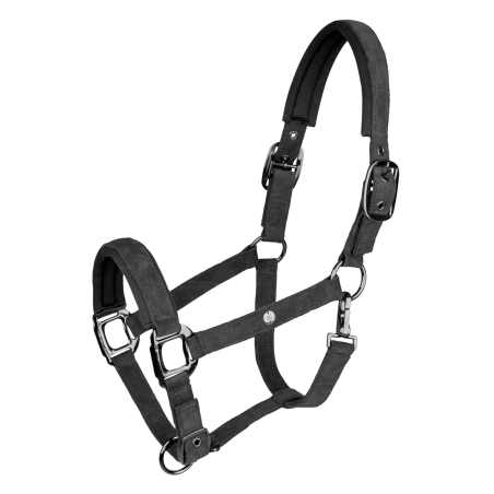 Licol Waldhausen St. Gallen