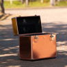 Box de pansage Imperial Riding Basic Slim line - Roségold