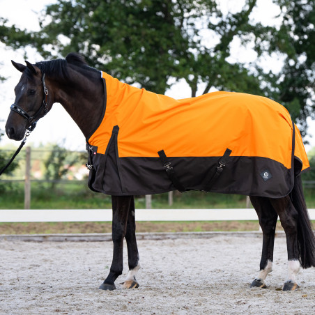 Couverture d'extérieur Imperial Riding Customized High Neck 300g 600D