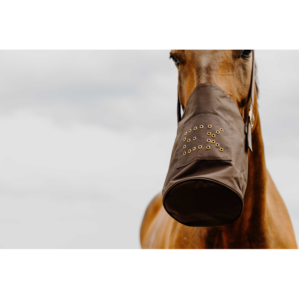 Sangles D'Éperons Western EKKIA En Cuir Marron Foncé Avec Rosace Ornementale - Élégance Classique