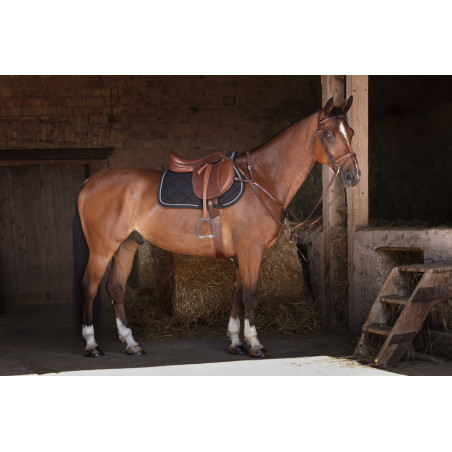 Collier de chasse Eric Thomas Hybrid