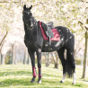 Tapis de selle Imperial Riding Josie Dressage - Figue