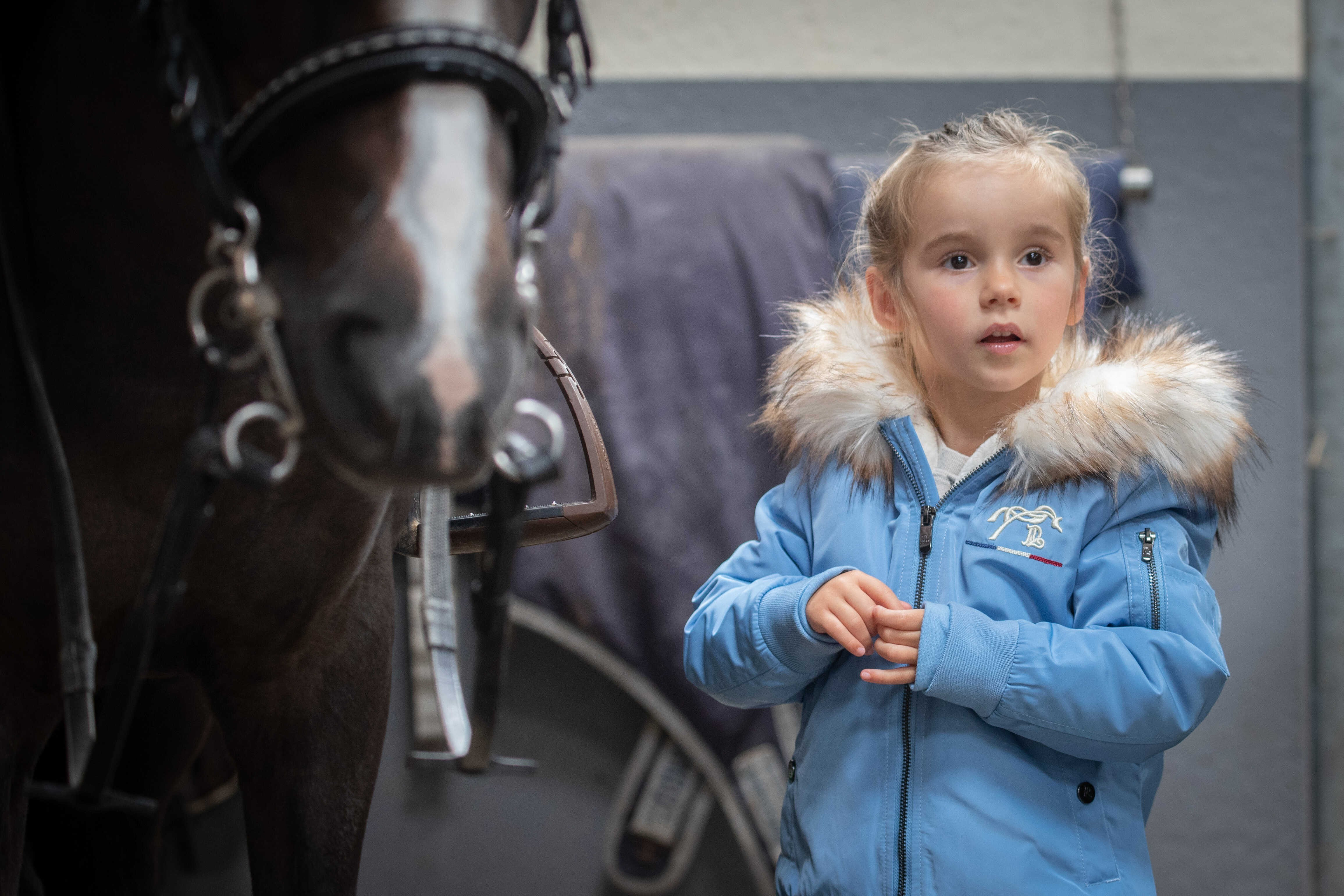 Bombers Eden by PL Lyon Bleu artic Bombers Eden by PL Lyon Bleu artic