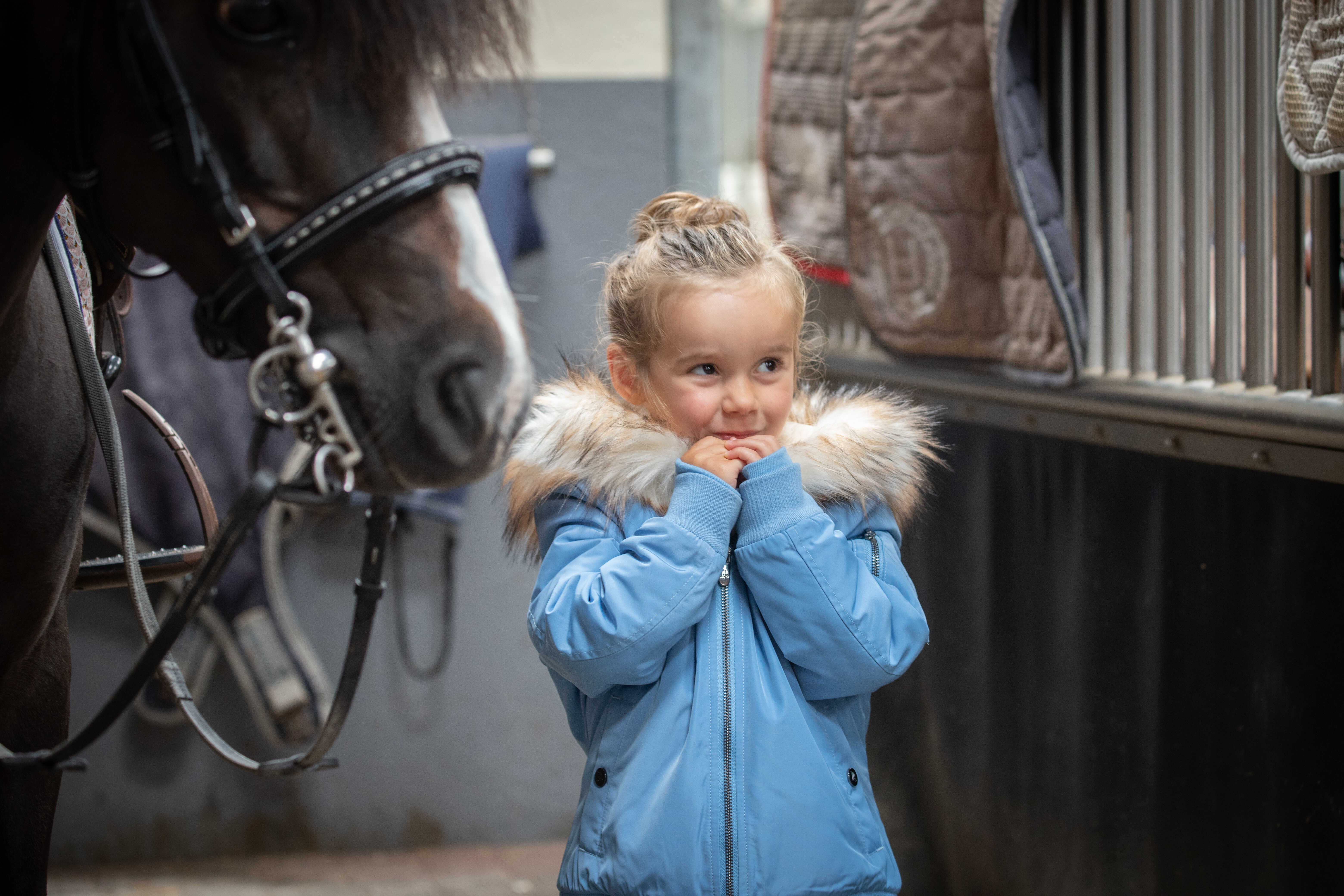 Bombers Eden by PL Lyon Bleu artic Bombers Eden by PL Lyon Bleu artic