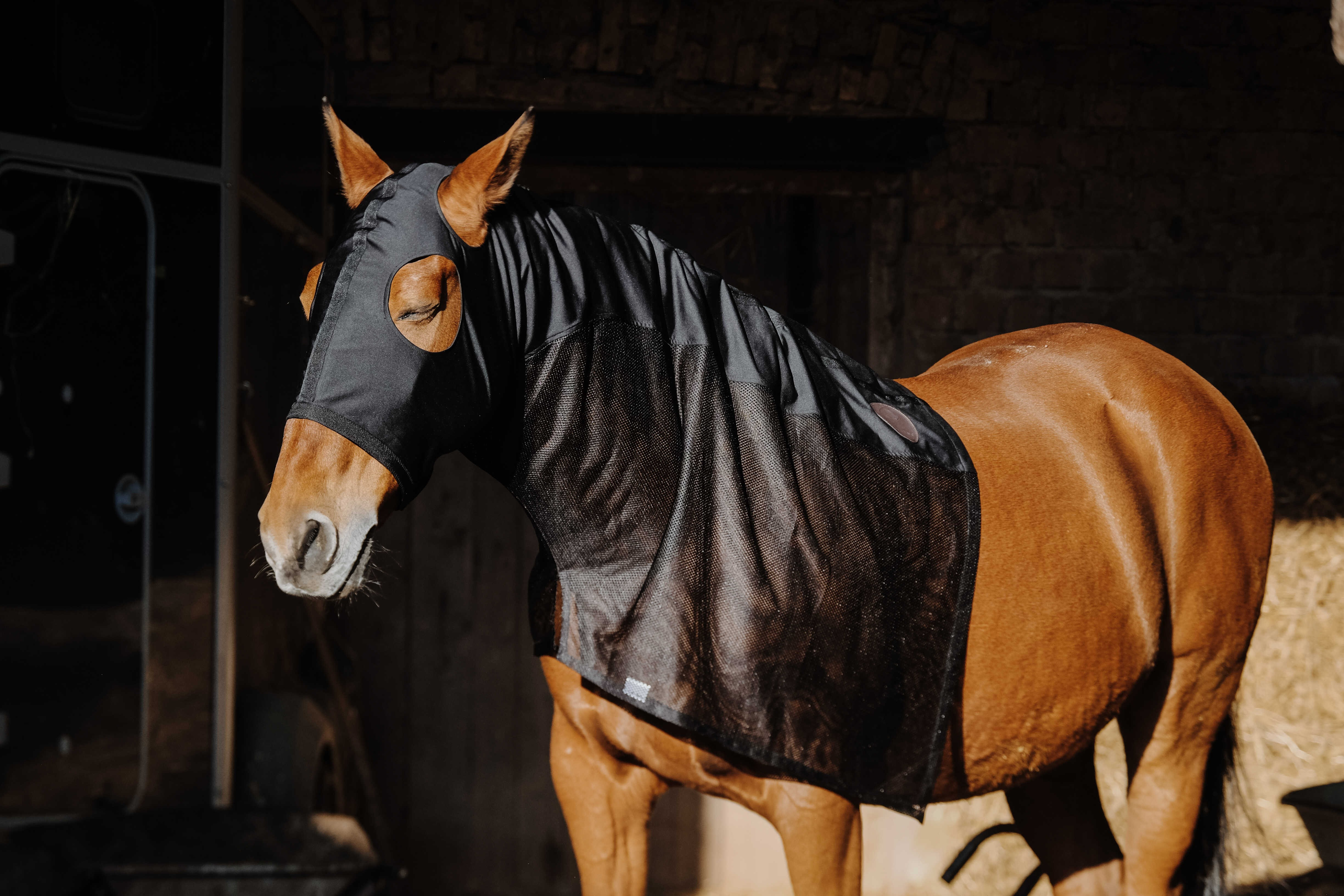 Protection de cou intégral Equithème Lycra/Mesh Noir