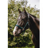 Licol nylon Equithème Protector - Vert