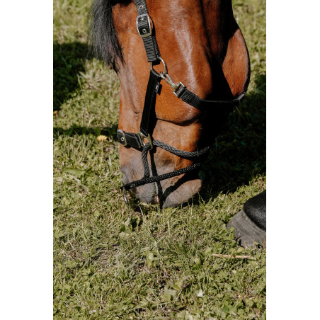 Licol Norton Educatif