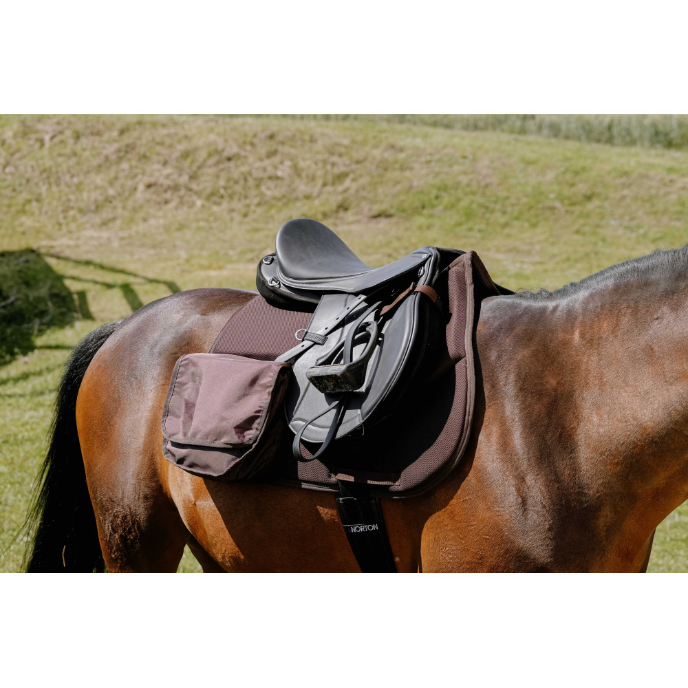 Brides et rênes : Animalerie : Reins, Bridle Sets, Horse Bridles And Reins et plus