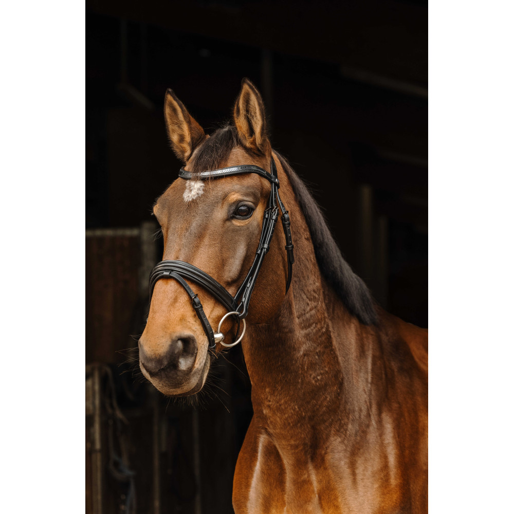 bride hb frontal strass dressage special for you muserolle verni à strass