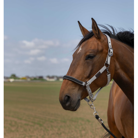 Licol Equithème Nylon Chevron
