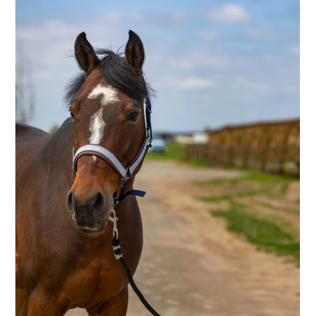 Licol Equithème Nylon Check