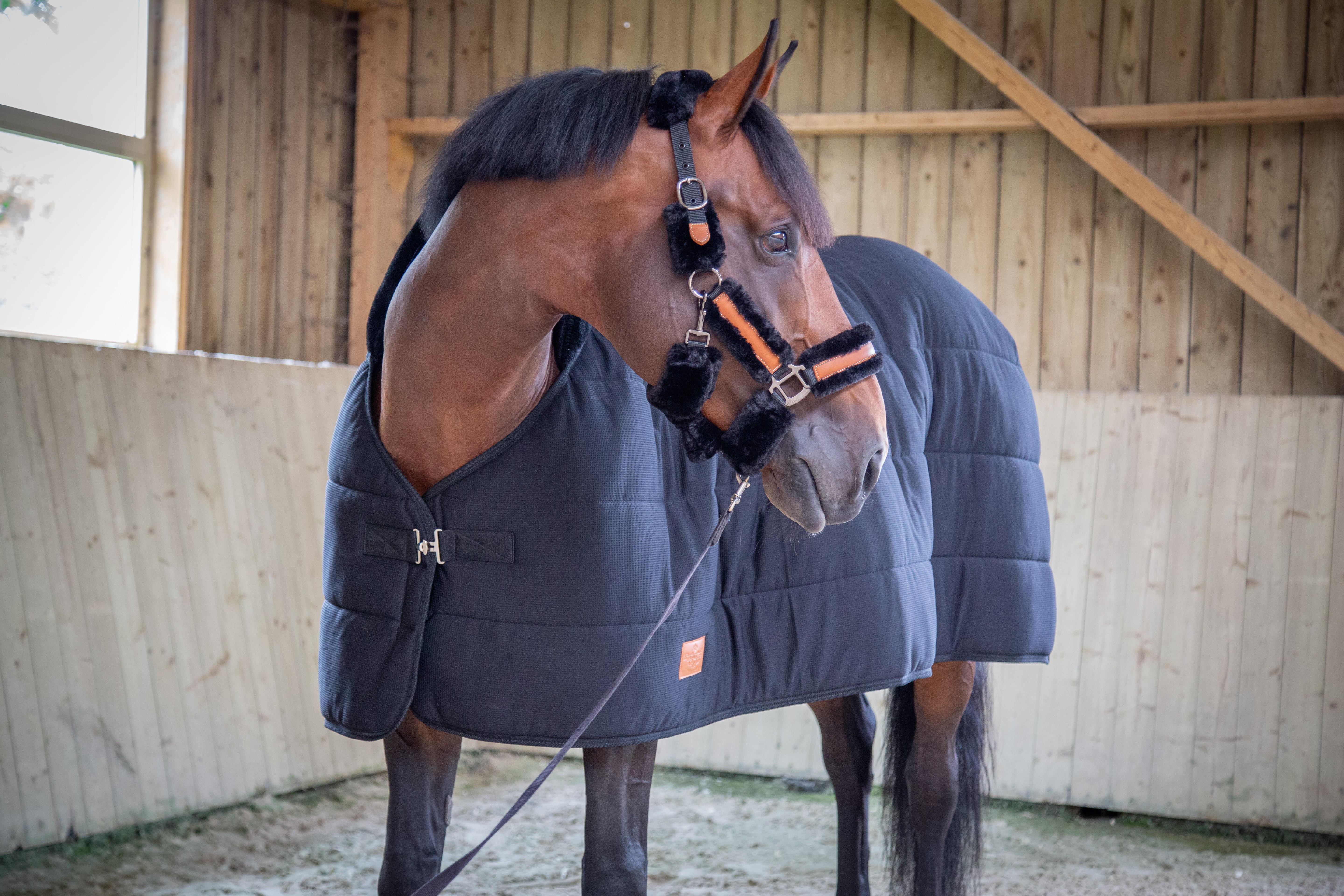 Sous-couverture Paddock Sports Underblancket Noir Sous-couverture Paddock Sports Underblancket Noir