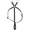 Mini-martingale Pony Academy - Noir