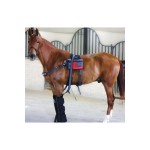 E.ZIBACK Pro Vibrating and heating massage mat for horses E.ZIBACK Pro Vibrating and heating massage mat for horses