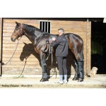 E.ZIBACK Pro Vibrating and heating massage mat for horses E.ZIBACK Pro Vibrating and heating massage mat for horses