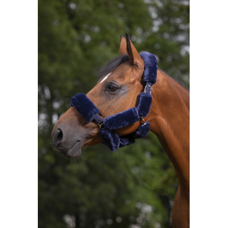 Set pour licol Equithème Teddy