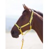 Licol nylon Topaz Shires - Gris