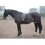 Enrênement de longe Shires