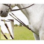 Enrênement Harbridge Shires
