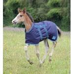 Couverture pour foal Tempest Shires Marine / turquoise Couverture pour foal Tempest Shires Marine / turquoise