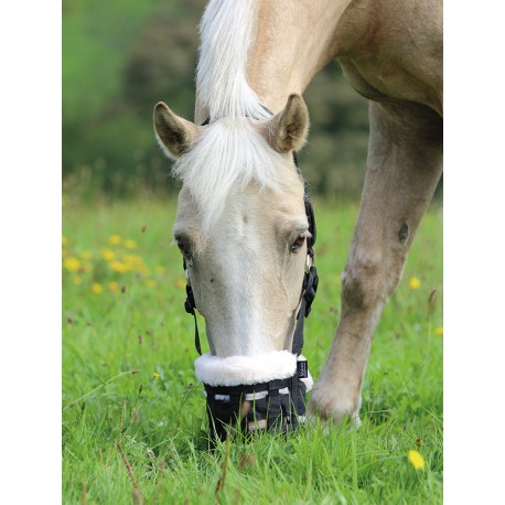 Muselière pour pâturage Horka - Licols & Longes - Cheval