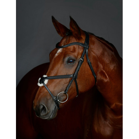 Bridon muserolle croisée Collegiate ComFiTec Opulux rembourré