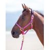 Licol nylon Topaz Shires - Framboise