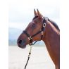 Licol nylon Topaz Shires - Noir