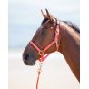 Licol nylon Topaz Shires - Orange