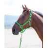 Licol nylon Topaz Shires - Vert