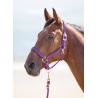 Licol nylon Topaz Shires - Violet