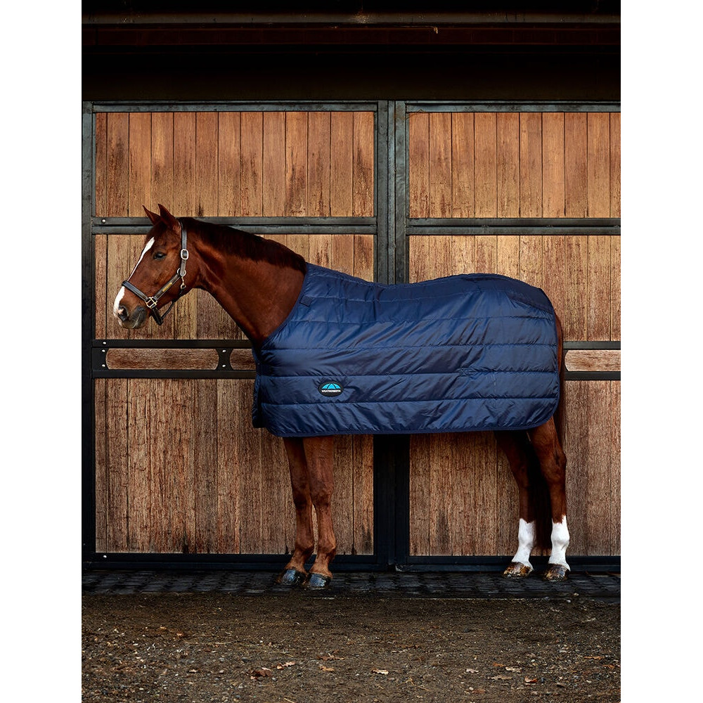 Tapis D'écurie WeatherBeeta Belmont 100g 5'9" – Bon état, Idéal Pour L'hiver