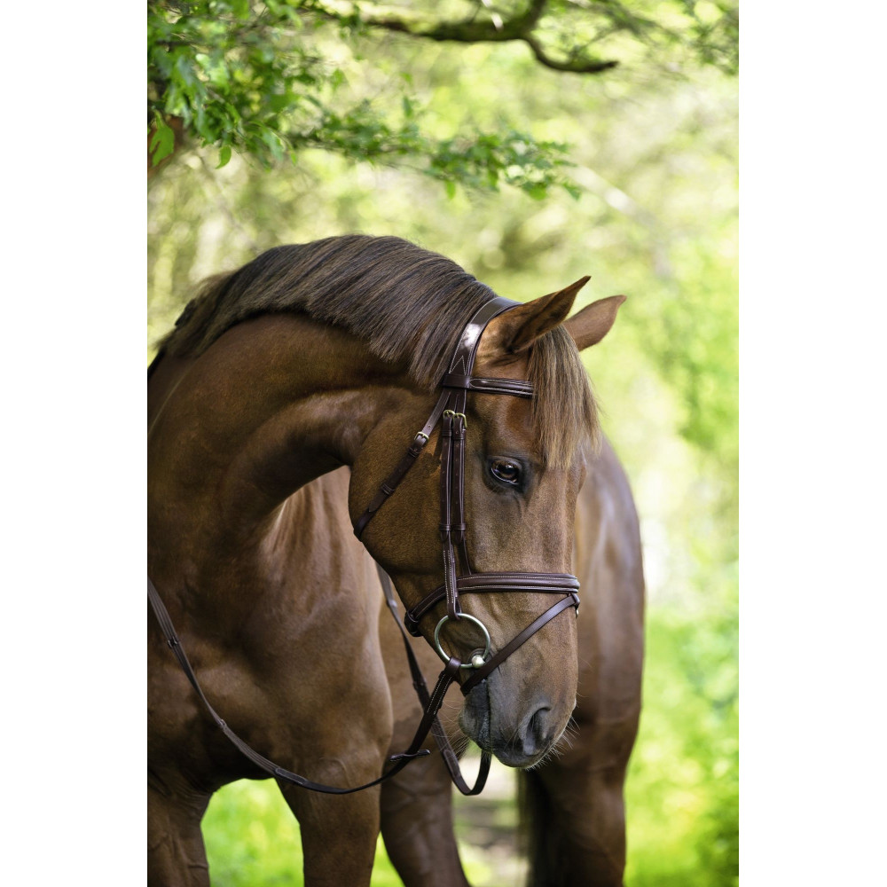 Covalliero Classic Kantár - Fekete, Full - Déli-Farm – Állat