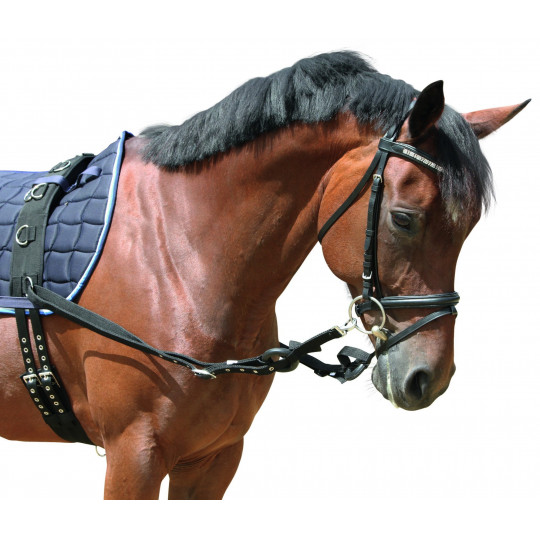 Enr nement lastique Covalliero pour  cheval 