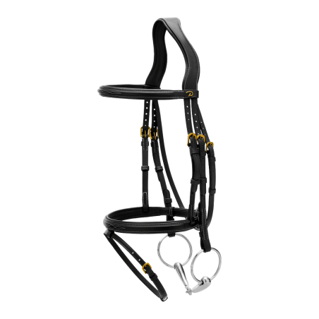 Bridon Muserolle Combinée Dy'on