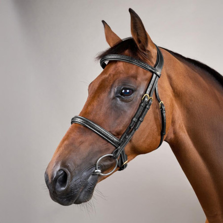 Bridon Muserolle Tressée sans Sous-barbe Dy'on