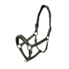 Licol en cuir Equestrian Stockholm anatomic scintillant - Vallée frappante