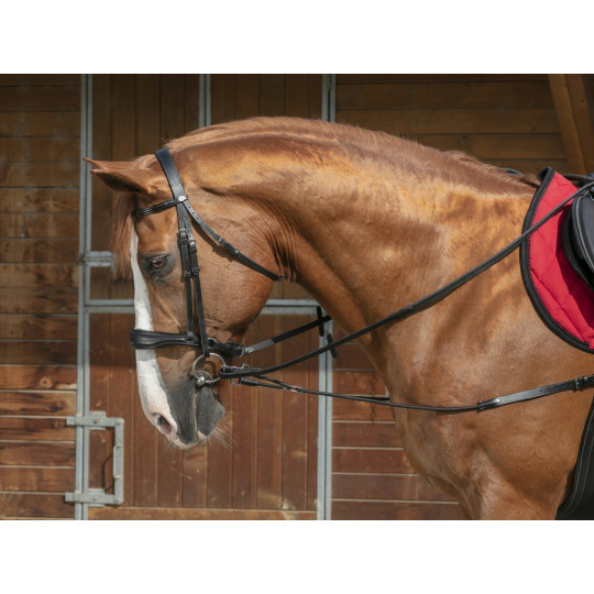 Enr nement lastique court poulies Norton Pro pour  cheval 