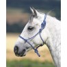 Licol éthologique Shires - Marine / blanc
