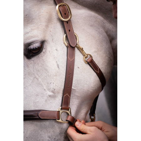 Licol cuir 3 mousquetons Paddock Sports