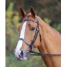 Bridon Aviemore Shires - Havane