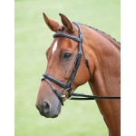 Bridon Bodenham Salisbury Shires