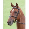 Bridon Brackley Salisbury Shires - Noir