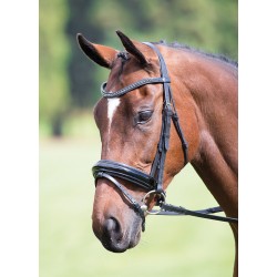 Shires Blenheim caveçon muserolle poney COB plein ** noir ou Havane **